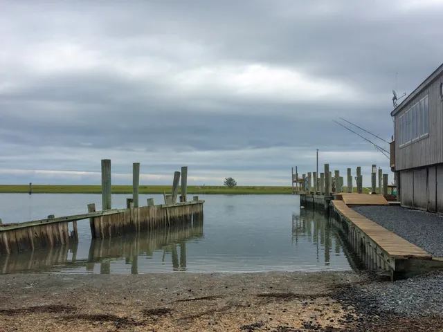 Wachapreague Town Marina