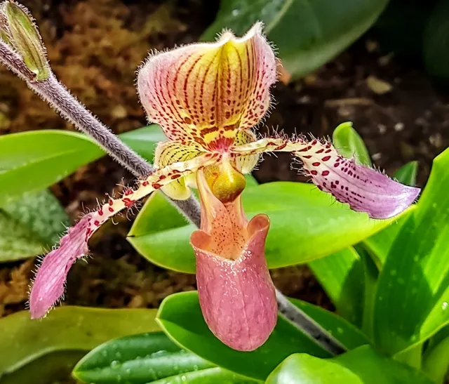 Robert and Arlene Kogod Courtyard