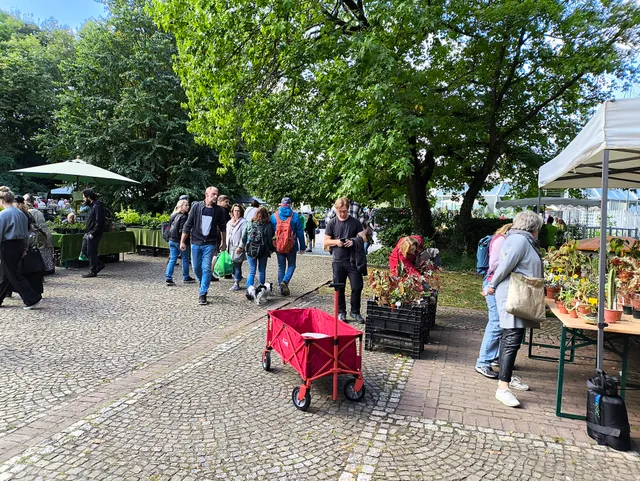 Rare plants market in Grugapark