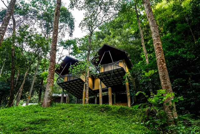 Song of the Trees Resort , Best Resort In Kuttikanam