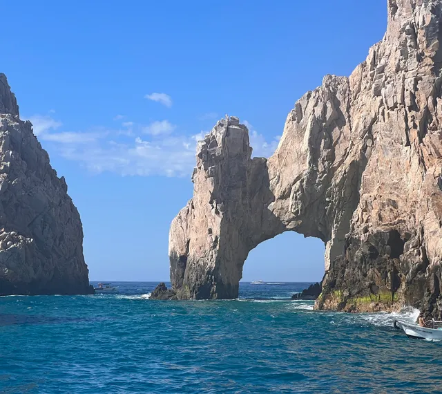 Pez Gato Amazing Adventures