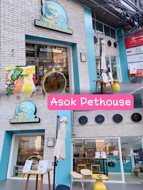 ASOK PETHOUSE CAT CAFE