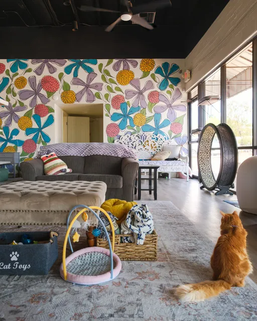 Hunter's Kitten Lounge