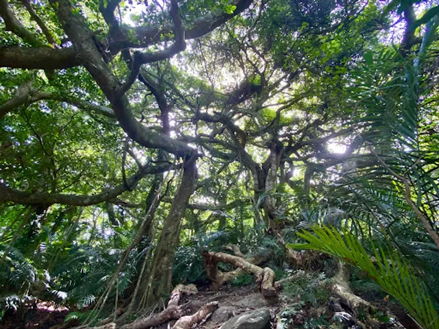 鸞山森林博物馆（森林文化博物馆）