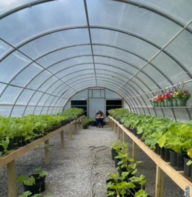 Mountain Stream Farms LLC