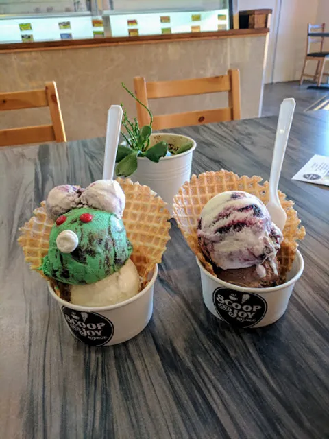 Scoop and Joy