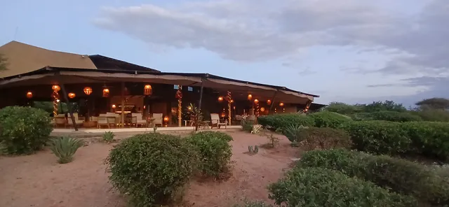 Surana Buffalo Springs