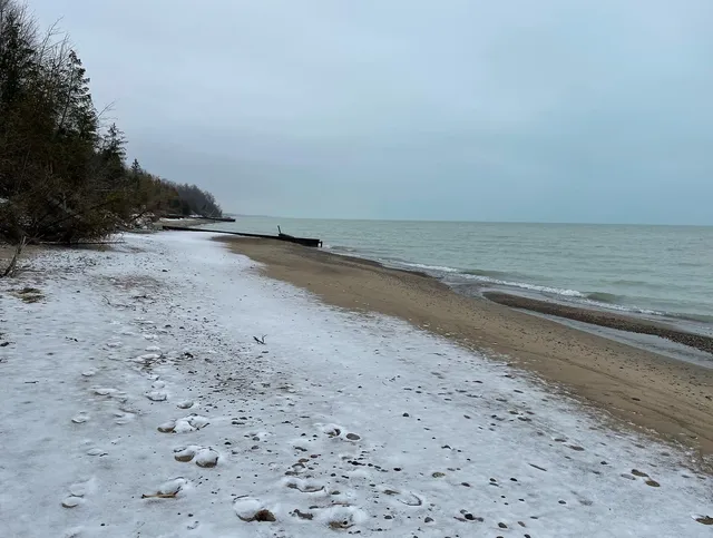 Nature's Cottage Short Term Rentals