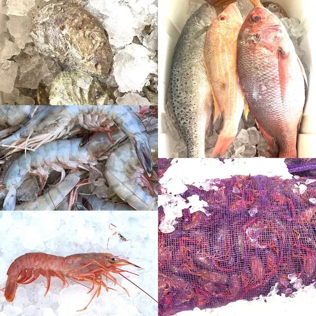 Southern Tide Market