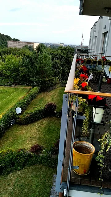 Apartament przy Focha