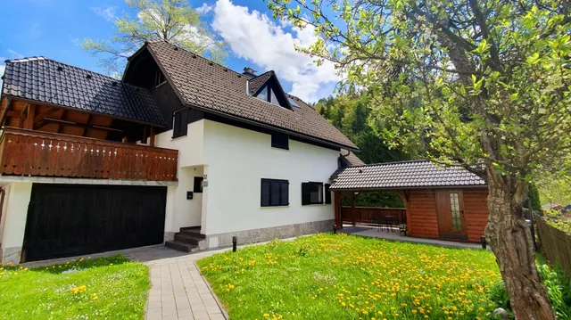 Apartment Alpska Astra