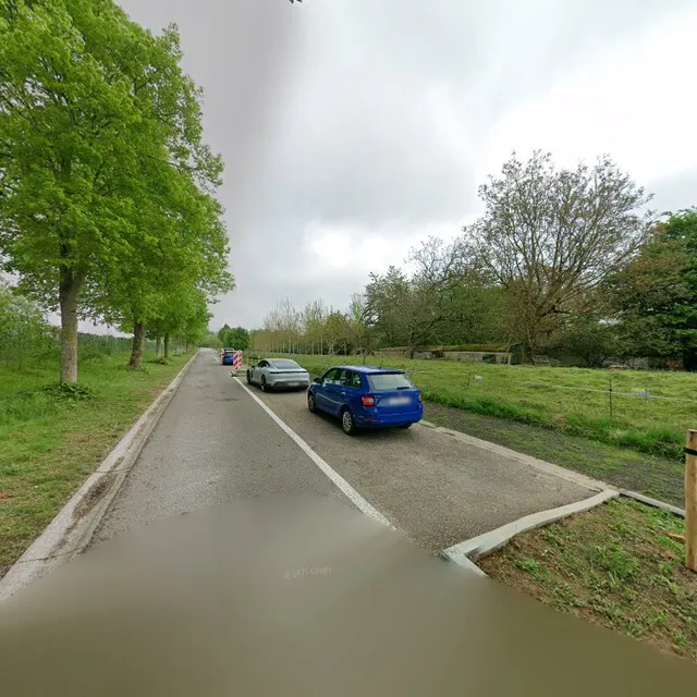 Parking 1b Hallerbos