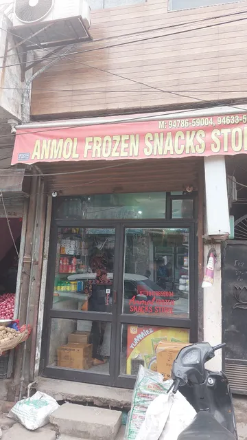 Anmol Frozen Snacks Store