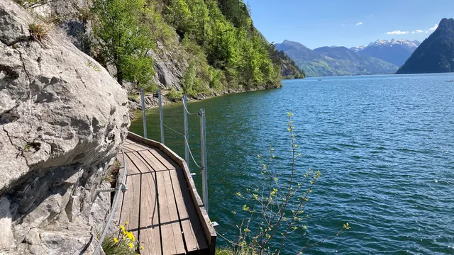 Miesweg - Alpiner Steig - Unterm Stein