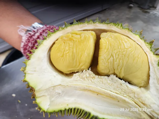 SK6363 DURIAN STALL