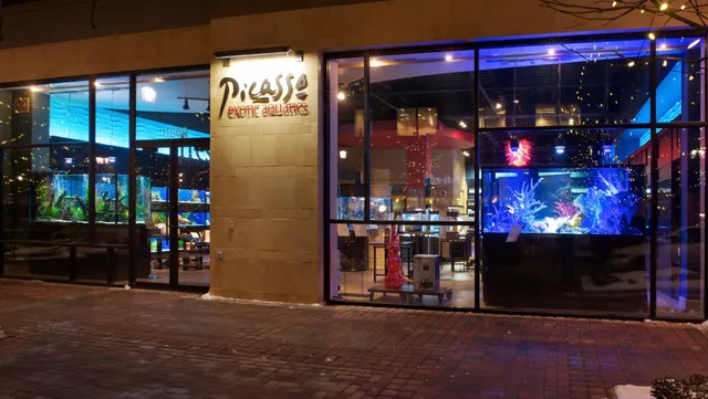 Picasso Exotic Aquatics