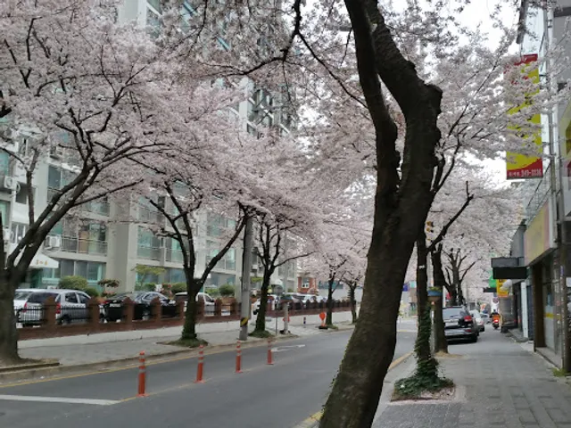 뚜레쥬르 울산무거점