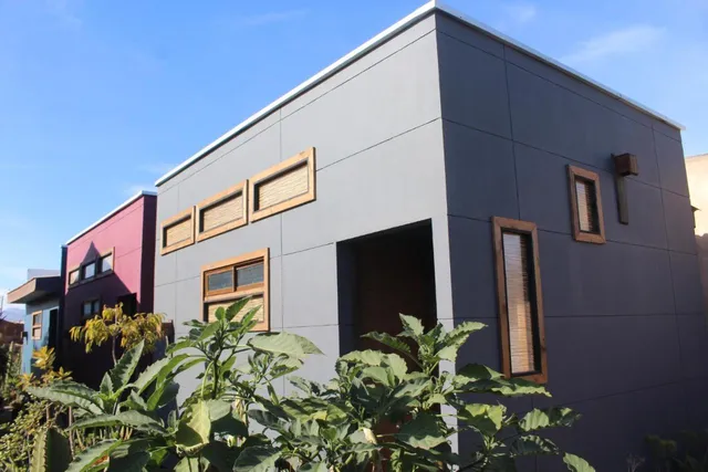 Los Cactus de Islón