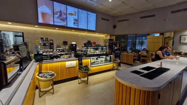 Starbucks Ocampo Corner DT