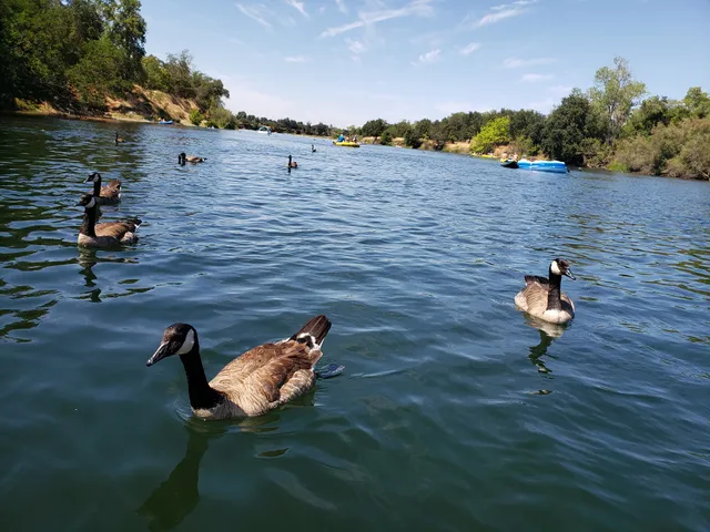 American River Raft Rentals