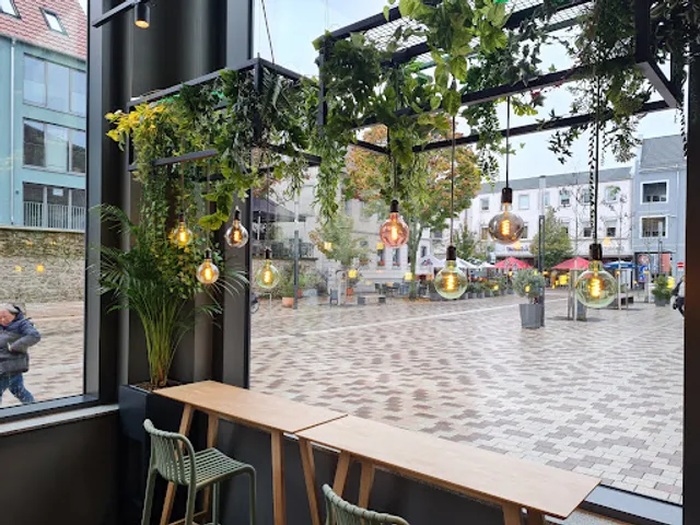 immergrün Offenburg