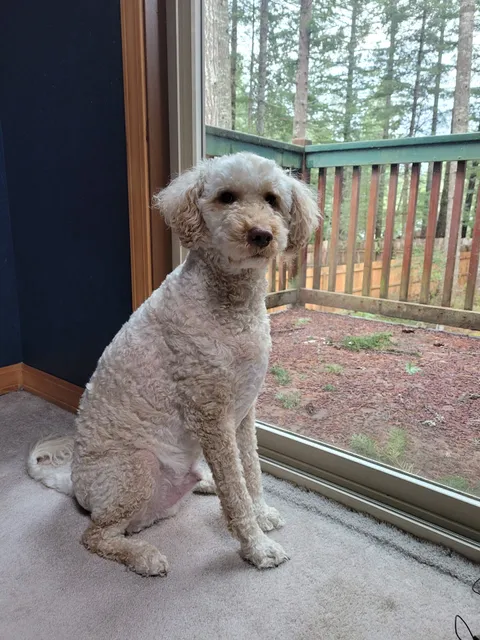 Banfield Pet Hospital