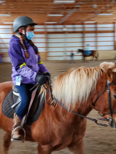 Heart to Heart Morgans, LLC