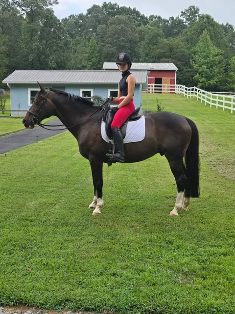 Bird's Nest Bunkies and Barn