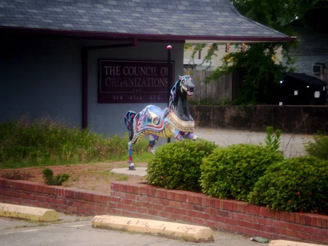 Council of Organizations Inc