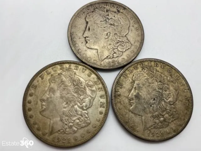 Estate 360 -Estate Sales and Downsizing