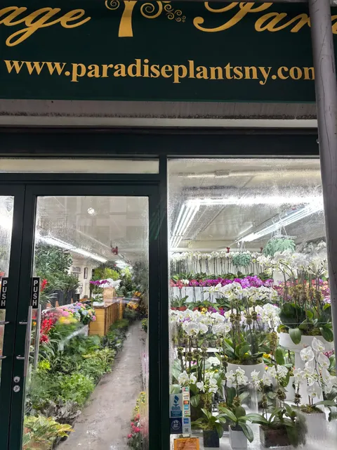 New York Flower Market