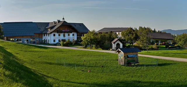 Vorderreithbauer, Bio-Bauernhof, Ferienwohnung