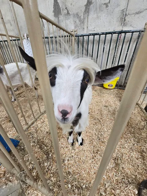 Venango County Fair Inc