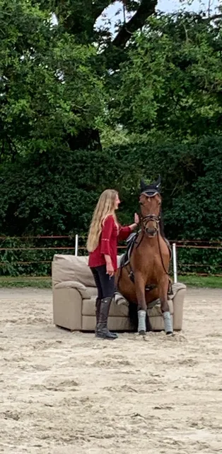 Horse Farm Du Grand Épinay