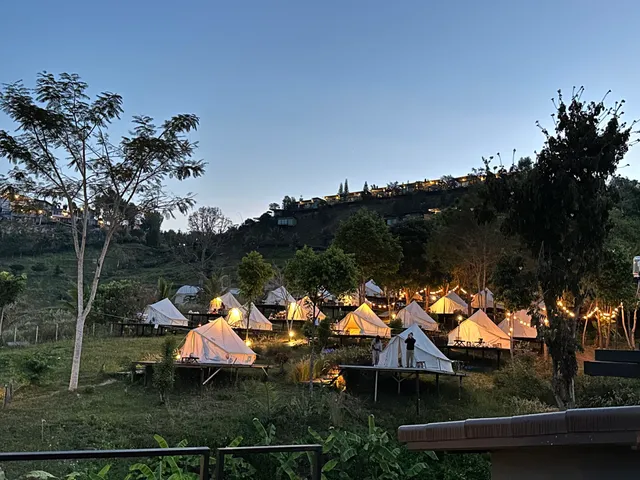 ภูรับหมอก@เขาค้อ