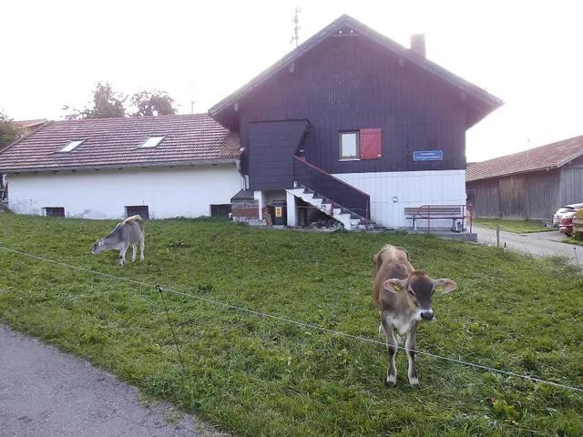 Alte Sennerei Bachtel