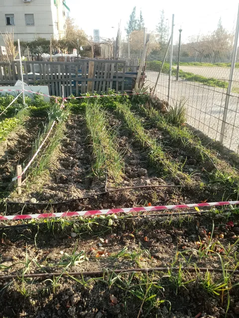 Huerto Urbano Joaquina Eguaras