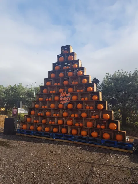 Avon Valley Pumpkin Patch