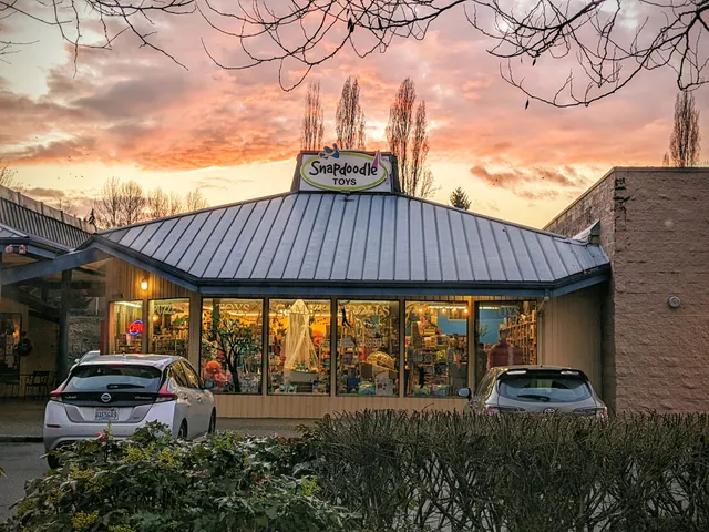Snapdoodle Toys & Games Redmond