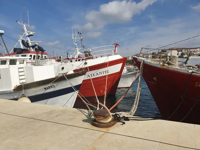Apartments / Ferienwohnung Oliver