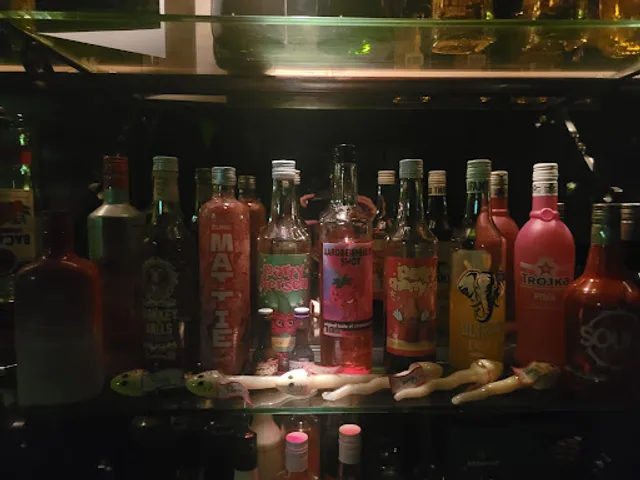 Bar & café Claus - Leeuwarden🍺