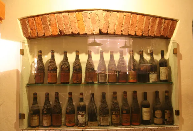 Holly Drink di Fabio e Massimo Olearo Snc