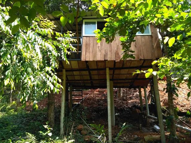 Canopy Green Homestay Sakleshpur