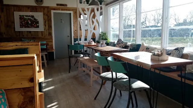 Wishing Tree by the Sea