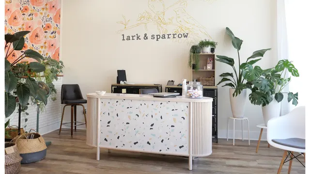 lark & sparrow