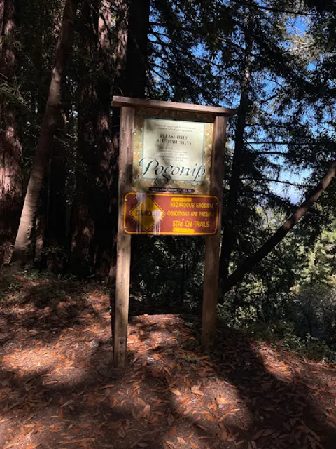 Spring Box Trailhead
