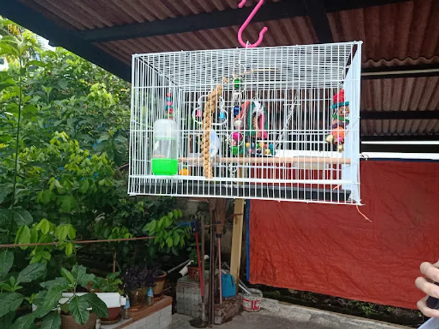 Warung Tok Mat Lihut