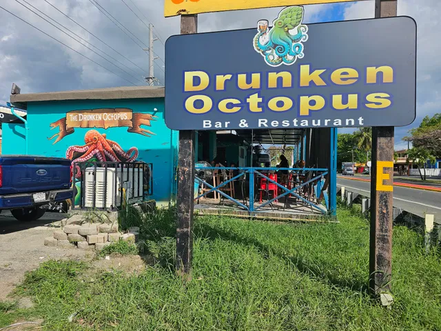 Drunken Octopus