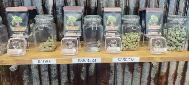 Tha TreeHouse Collective