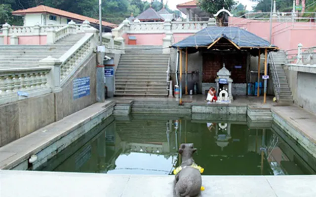 GOLDEN NEST HOME STAY